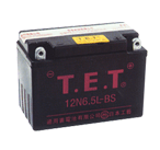 点击查看通用蓄电池有限公司 T.E.T 免维护系列蓄电池 12N6.5L-BS更详细资料